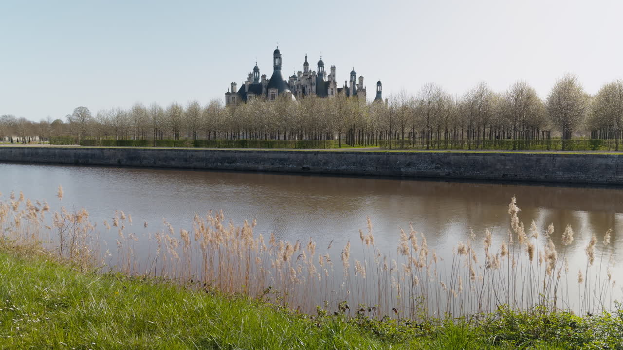 Majestic view of Château de Chambord behind trees and river under clear spring skies