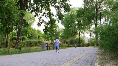 rear view of a toddler boy catching up with his ball. child on the walk in beautiful park in summer.