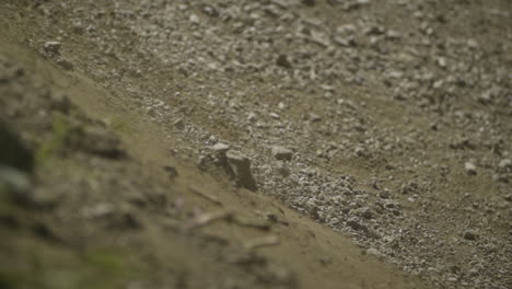 close up shot in slow motion of downhill mountainbike wheels hitting a berm in semmering austria, gravel and dust visible after the turn. footage slowed down eight times