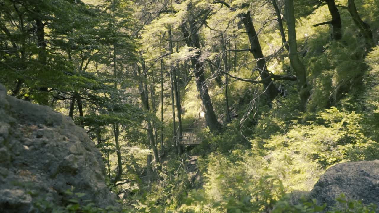 beatiful trails, rivers and waterfalls from chile