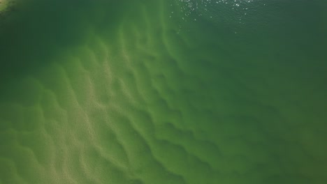 tallebudgera creek and beach in gold coast, australia - aerial top down