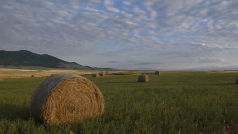 Heuballen-Sitzen-Auf-Grünen-Feldern-Auf-Einer-Präriefarm