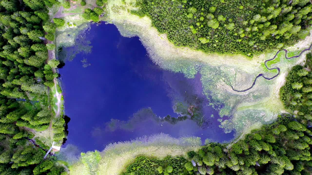 Bird's eye view of Black Lake in Slovenia which is an artificial peat lake in the middle of a forest surrounded with marsh and algae