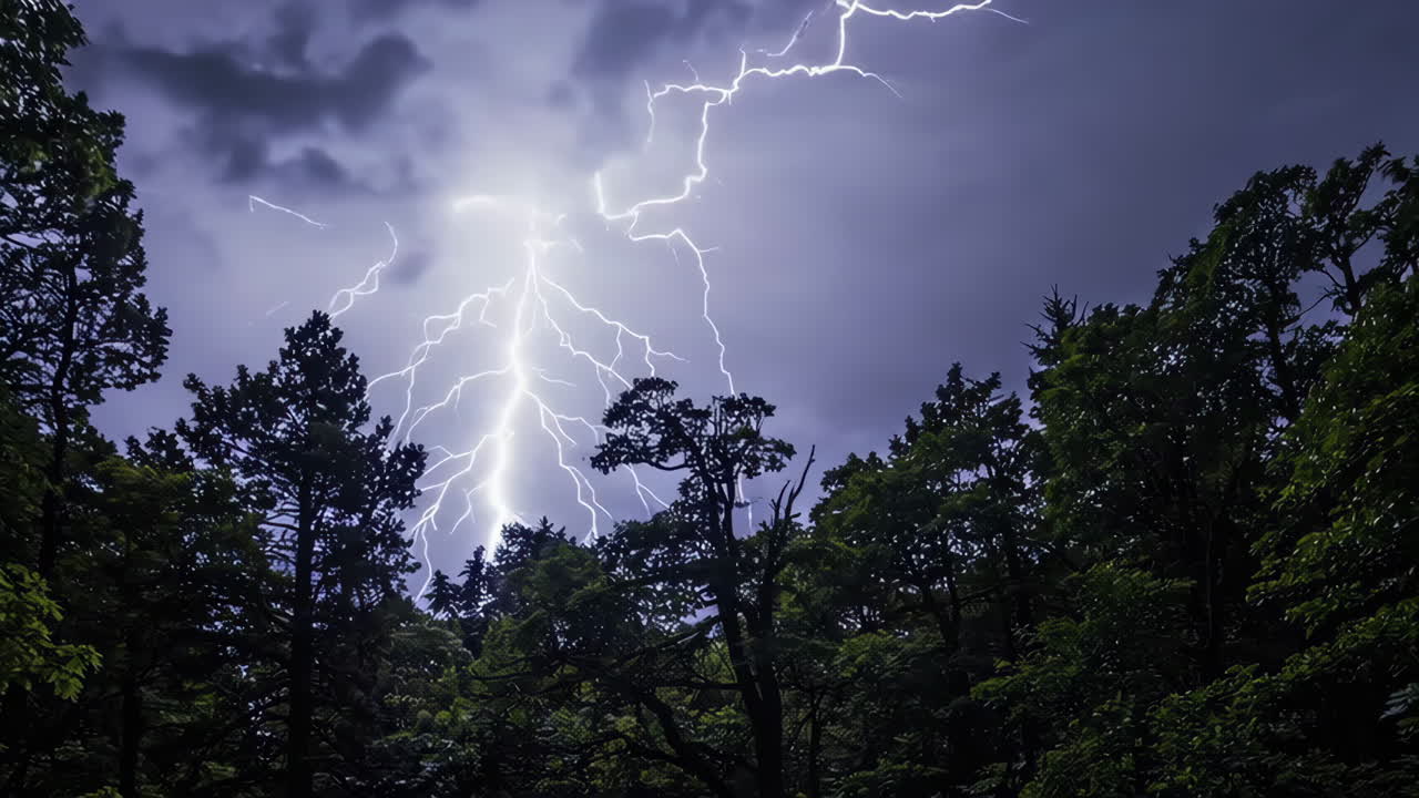 Lightning Strike Over a Forest at Night