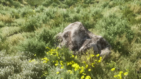 big rocks on field with dry grass