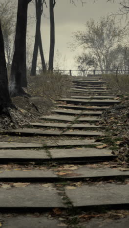 stone steps leading up through a foggy forest