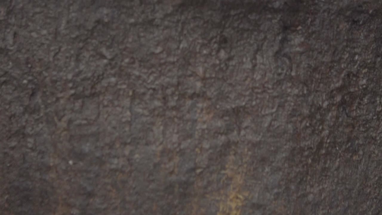 훈제 생선 나이지리아 07