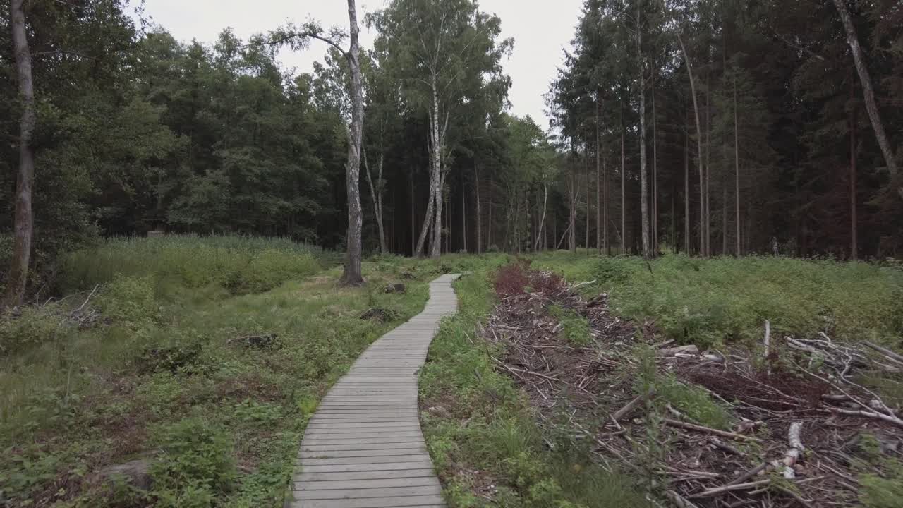 흐린 하늘 아래 쓰러진 숲과 초원을 가로질러 보도를 따라 걷다