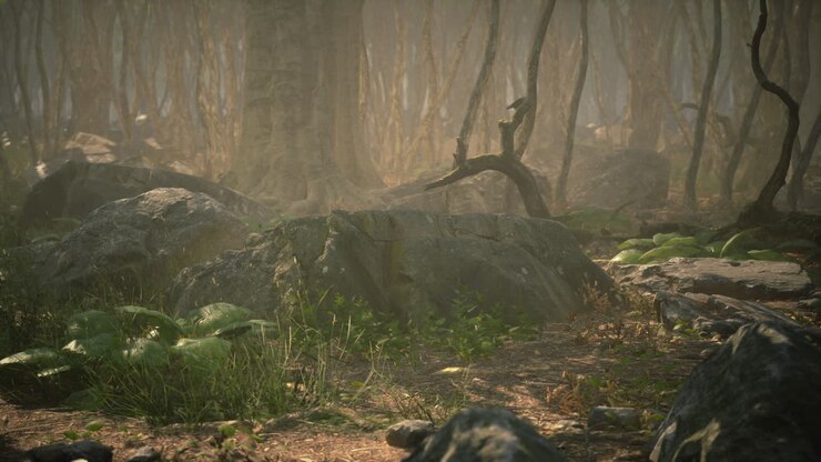 Roots of a tree in a misty forest