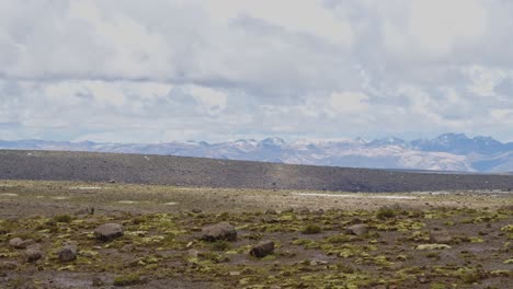 paisaje de llanuras, pampas galeras, perú