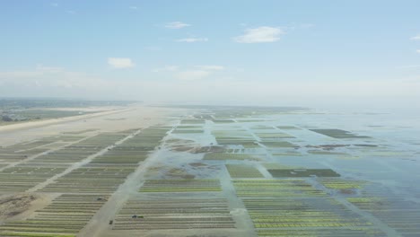 Granja-De-Ostras-De-Marisco-Cerca-De-Cap-Frehel-Y-Cotentin-En-Normandía,-Francia