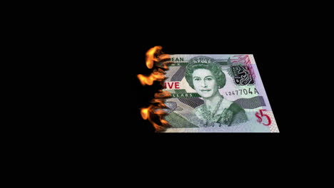 burning caribbean five dollar bill