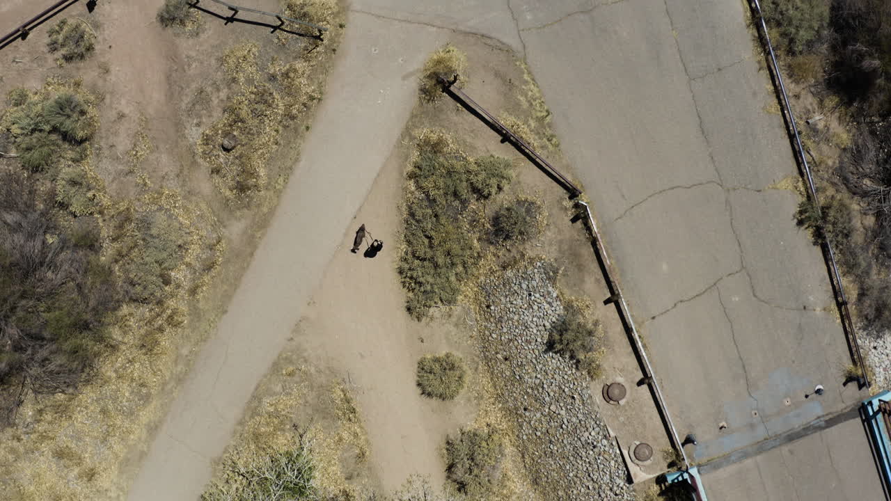 반려동물 주인이 걷는 강아지의 공중 하향식 오버헤드 뷰