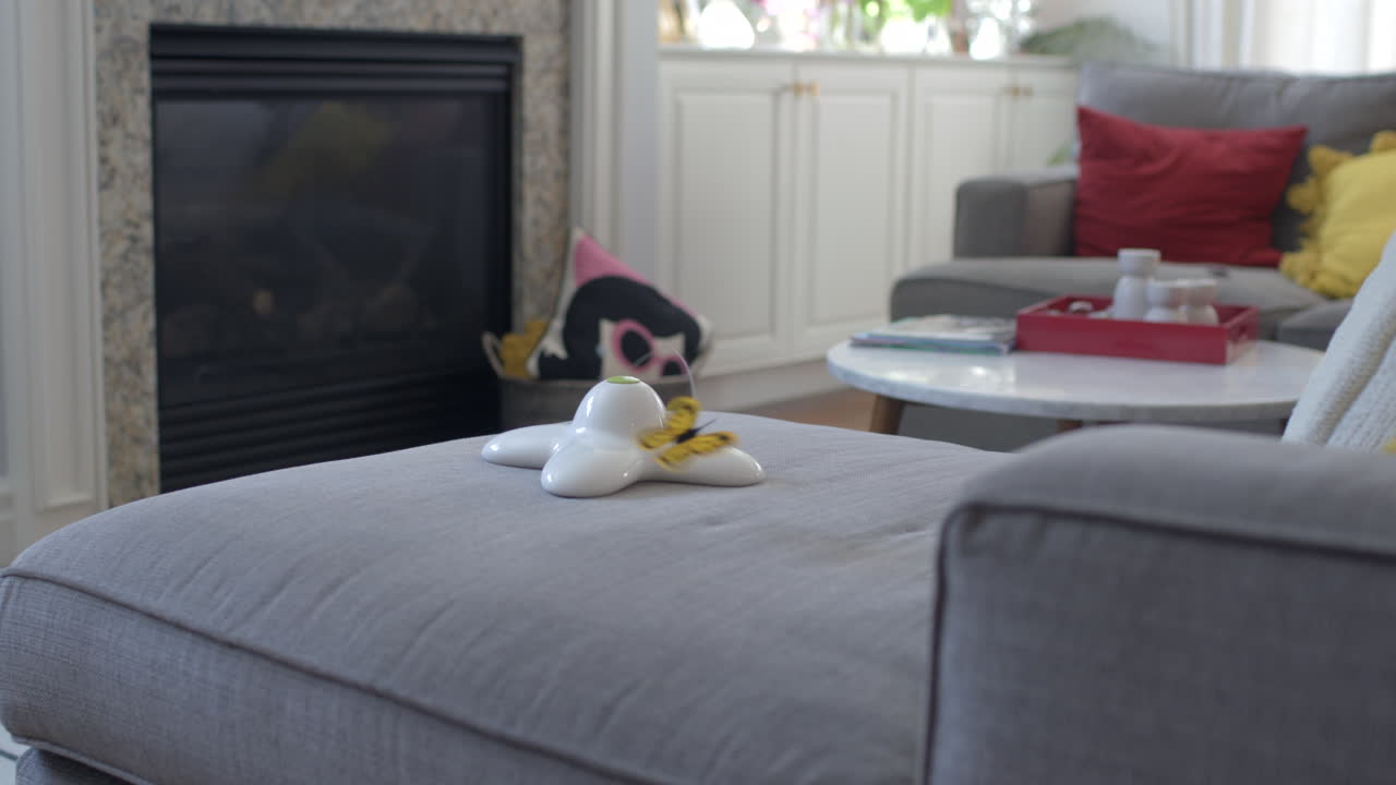 사랑스러운 작은 회색 새끼 고양이가 가족 방의 소파에 뛰어들어 나비 장난감에 뛰어들고 멀리 뛰어내린다