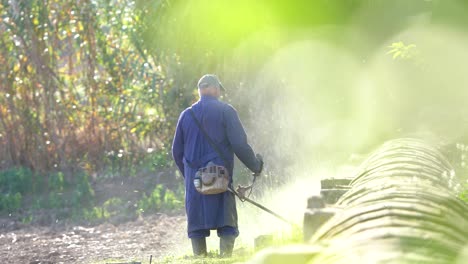 farmer grass cutting with lawnmower