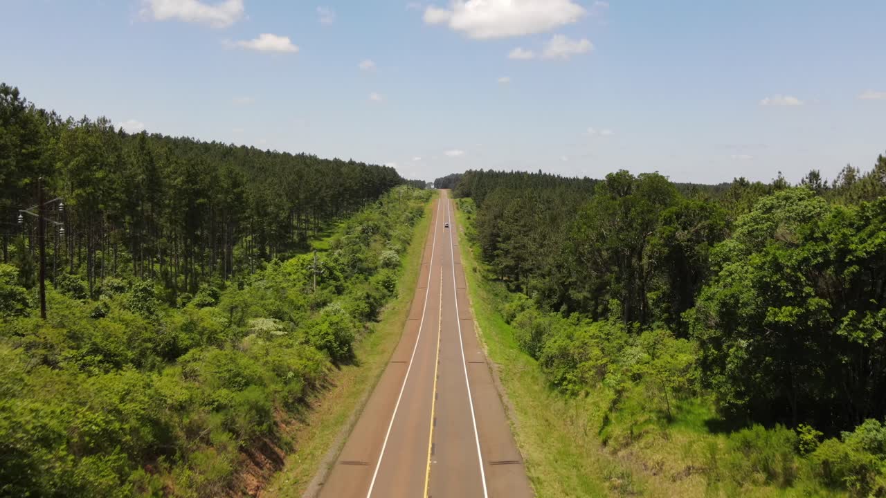 una carretera envuelta por plantaciones de pinos de reforestación en argentina