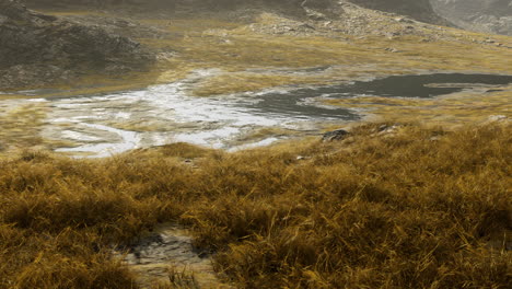 serene mountain meadow with a stream and a small lake