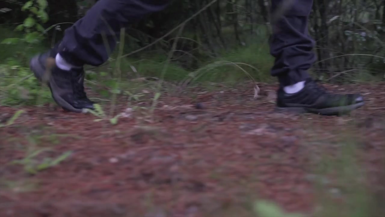 Escursionista che cammina nella foresta dalla prospettiva dei piedi.