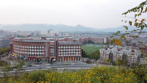 university town of shenzhen is a tertiary education hub or university