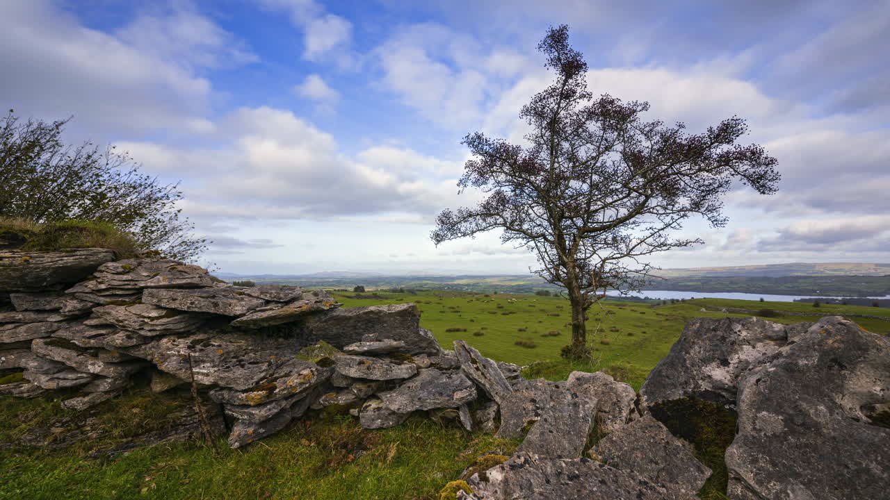 전경에 나무와 돌담이 있는 시골 자연 농지의 시간경과 흐린 날 동안 아일랜드의 카운티 슬라이고에 있는 캐로킬에서 보이는 멀리 있는 들판과 호수에 있는 양