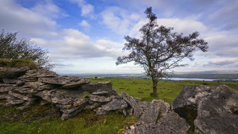 Timelapse of rural nature farmland with tree and stonewall in the foreground and sheep in the fields and lake in distance during cloudy day viewed from Carrowkeel in county Sligo in Ireland