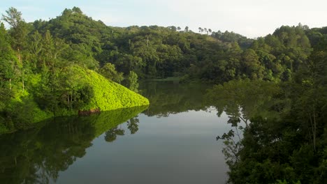 Ascending-Aerial-view-over-green-lagoon-and-reflection-of-forest-jungle-trees