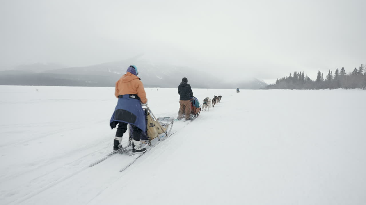 Hundekjøring på innsjø om vinteren