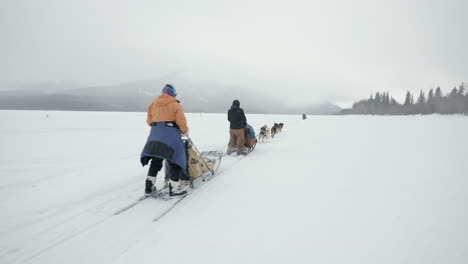 dog sledding in the winter on a lake