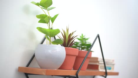 floating shelf with flower pot and book decoration living room