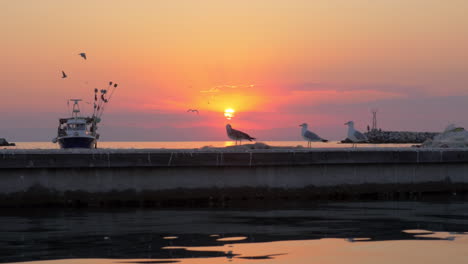 sea with boat and seagulls at sunset