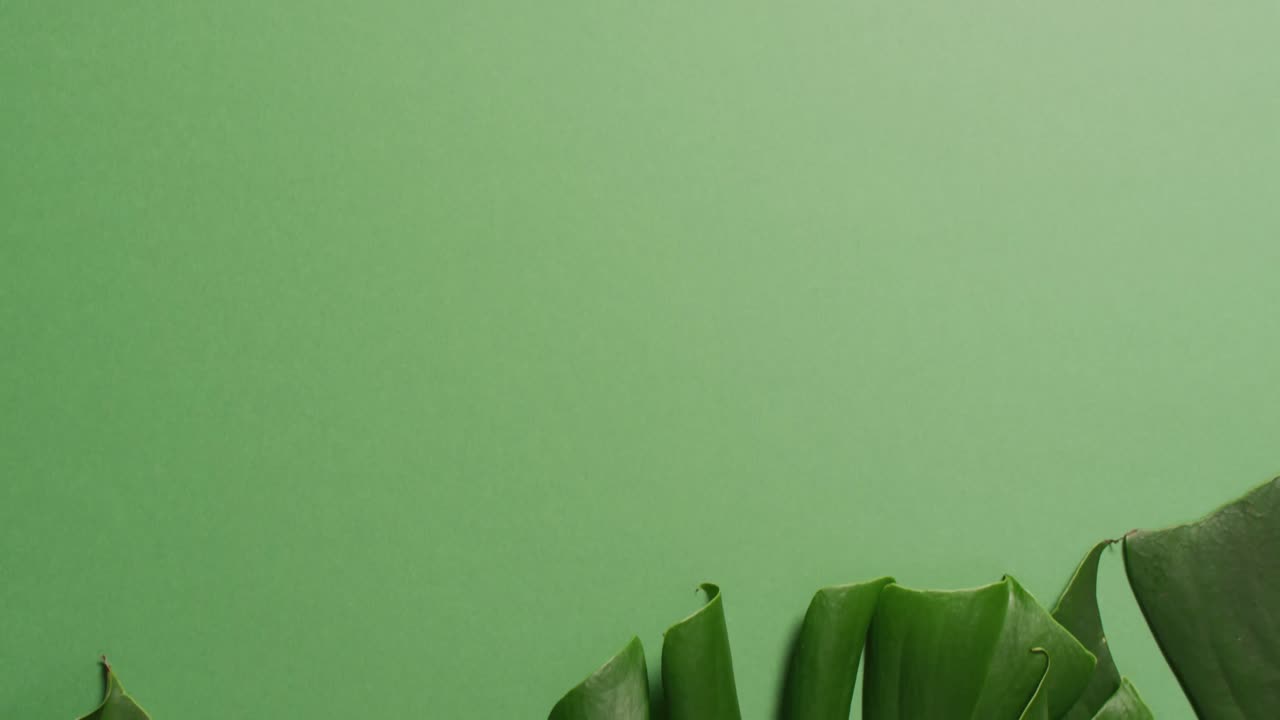 animación de hojas verdes exuberantes sobre fondo verde con espacio de copia