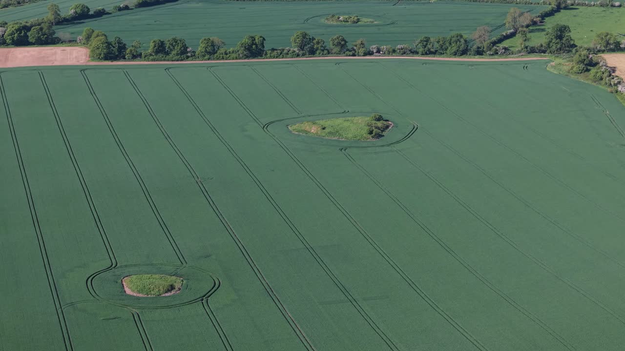 Ireland's Mystical Fairy Forts, Ancient Ringforts, Surrounded by Modern Farmland