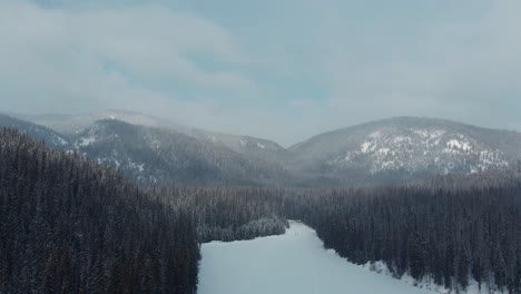 toma aérea de un lago congelado rodeado por un bosque de pinos y montañas en un día nublado de invierno