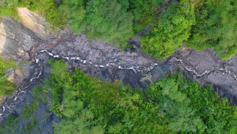 a meandering river through a lush forest in daylight, top-down perspective, aerial view