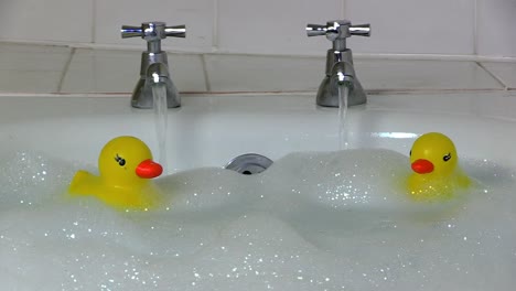 two plastic ducks bob up  and down in a sparkly bubble bath.