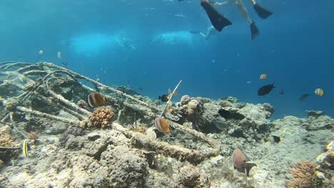 Snorkeling-in-the-Gili-Islands,-Indonesia,-tropical-fish-and-wreckage