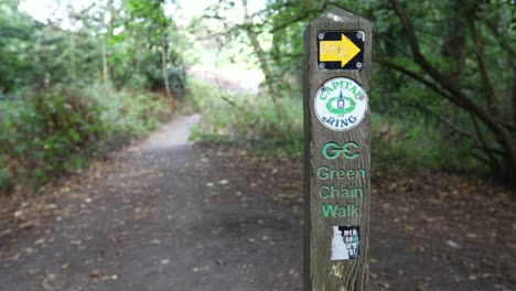 Camino-Forestal-Y-Cartel-Que-Muestra-La-Dirección-Correcta-En-La-Cadena-Verde-A-Pie-En-Madera-De-Oxleas