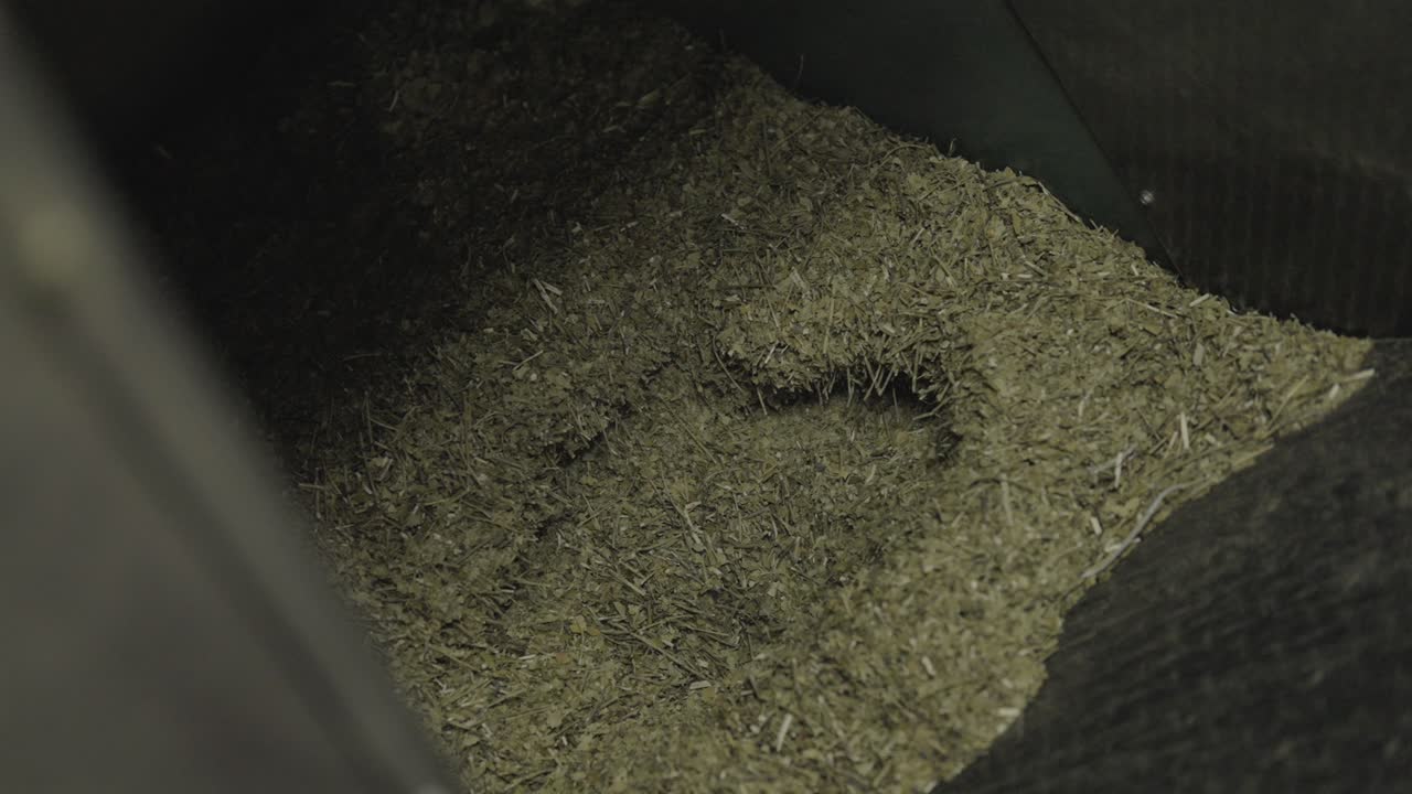 Close-up of processed yerba mate (Ilex paraguariensis) leaves and stems inside an industrial grinder during the final grinding phase for infusion preparation, showing powder texture, slow motion.