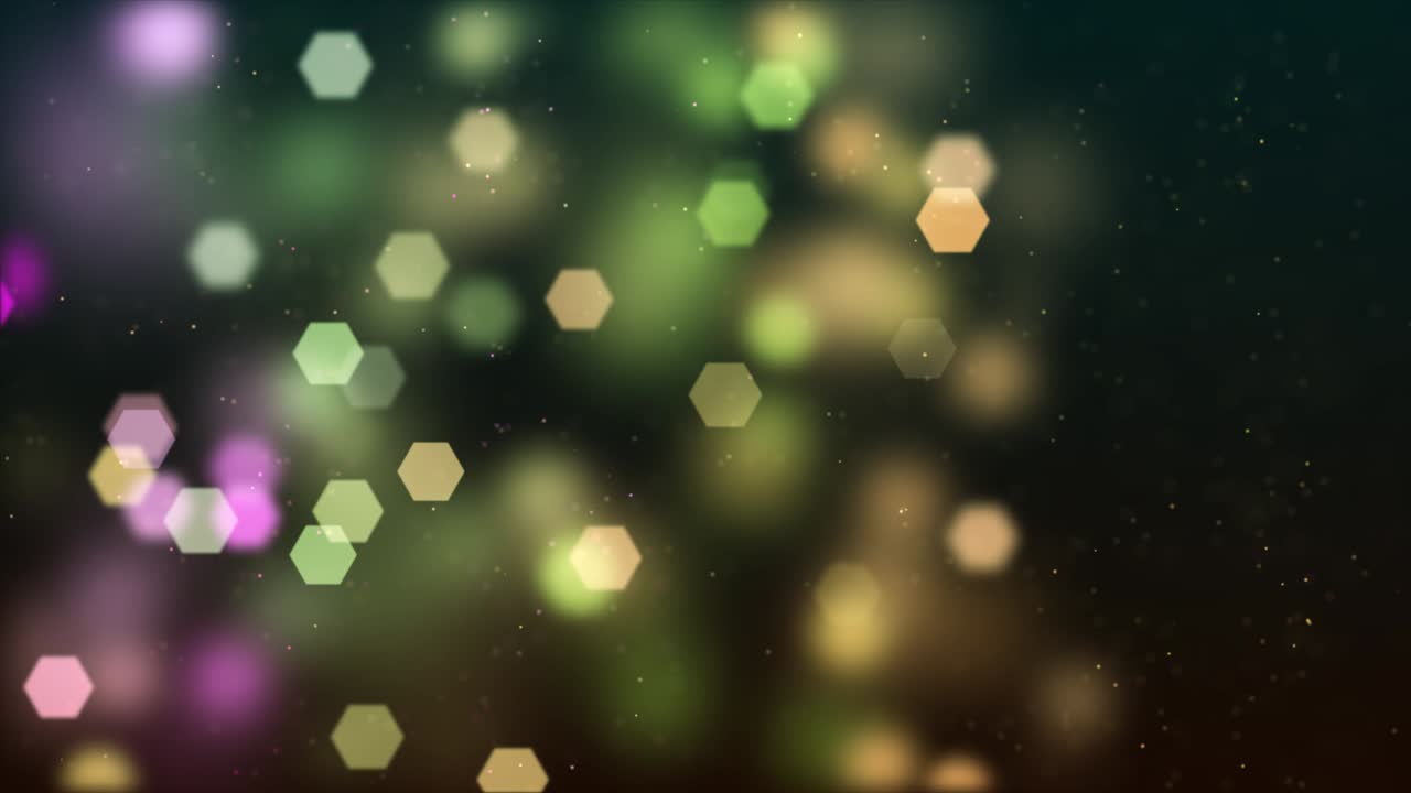 resumen de la sección 0196