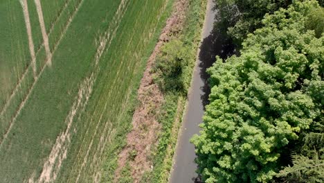 paved road alongside vibrant green wombwell woods, barnsley, yorkshire, england, aerial lift up shot