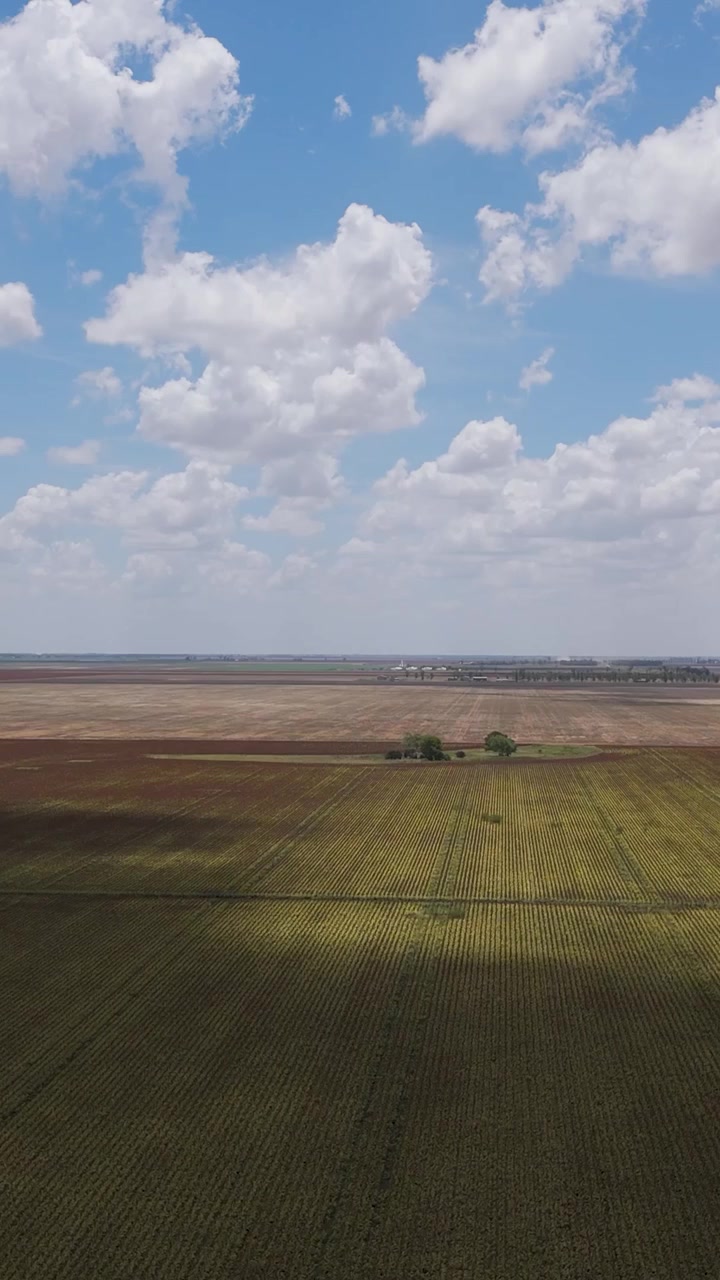 Aerial view of expansive fields and sky