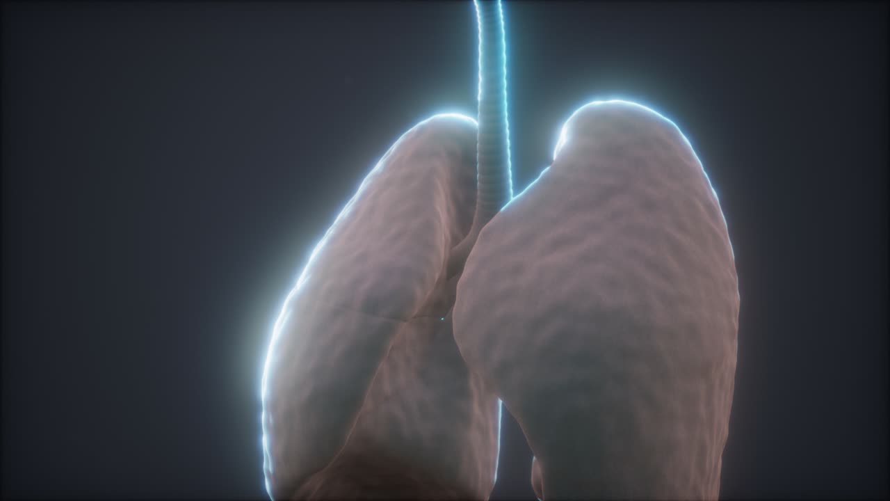 animación en 3d de los pulmones humanos