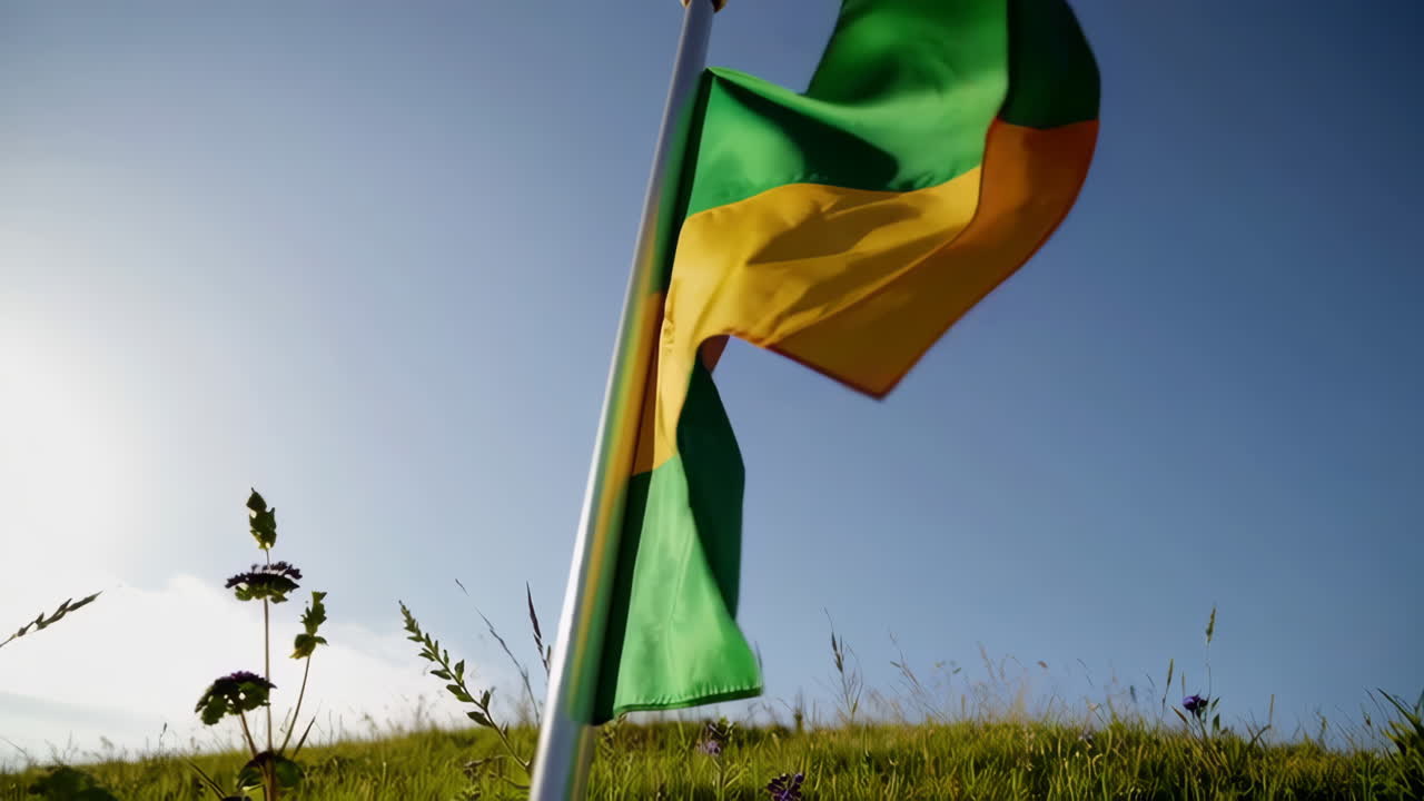 Flagg som vaier i vinden