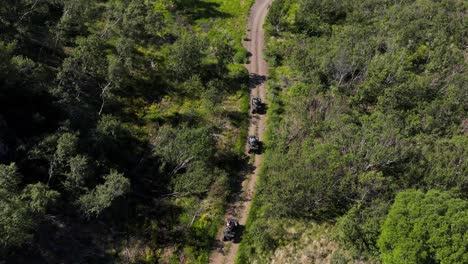 Gruppe-Auf-Quads,-Die-Durch-Waldgebiet-Fahren,-Touristische-Aktivität,-Antenne