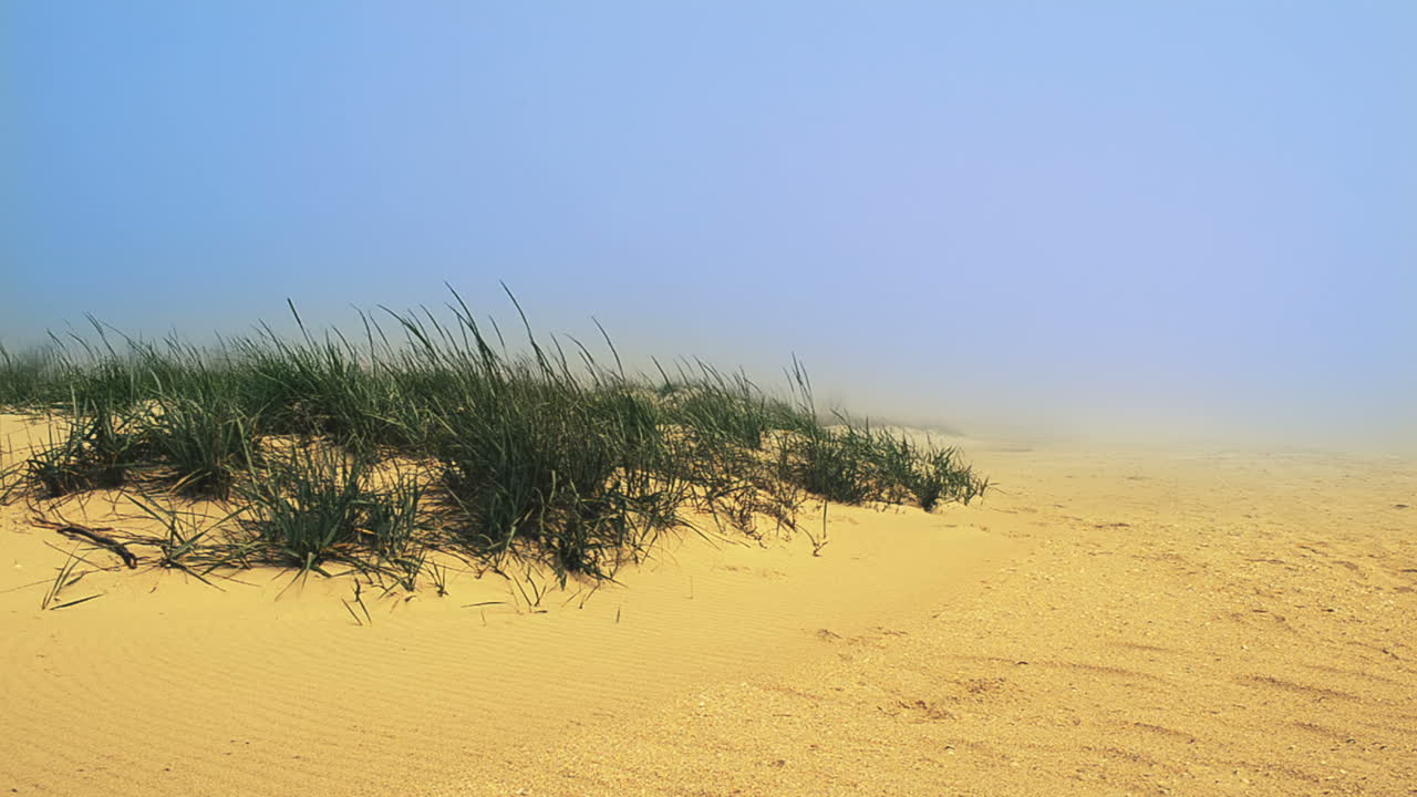 Stranden i tåge og klitter. Fotografering på stranden