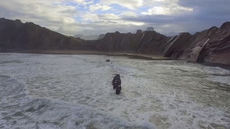 volando bajo sobre las olas hacia el acantilado con un día nublado