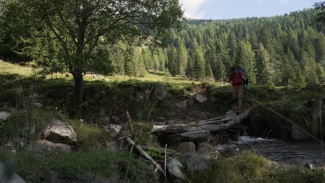 static shot of male hiker with backpack walking on small wooden bridge over the creek during beautiful sunny day and green landscape in background