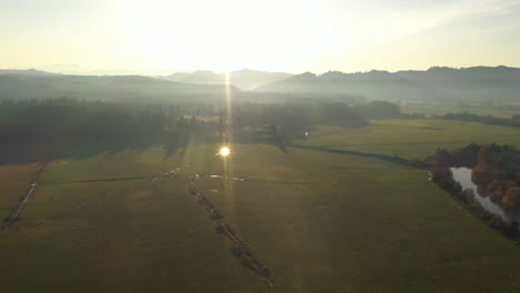 aerial circling shot over farmland in myrtle point during golden hour