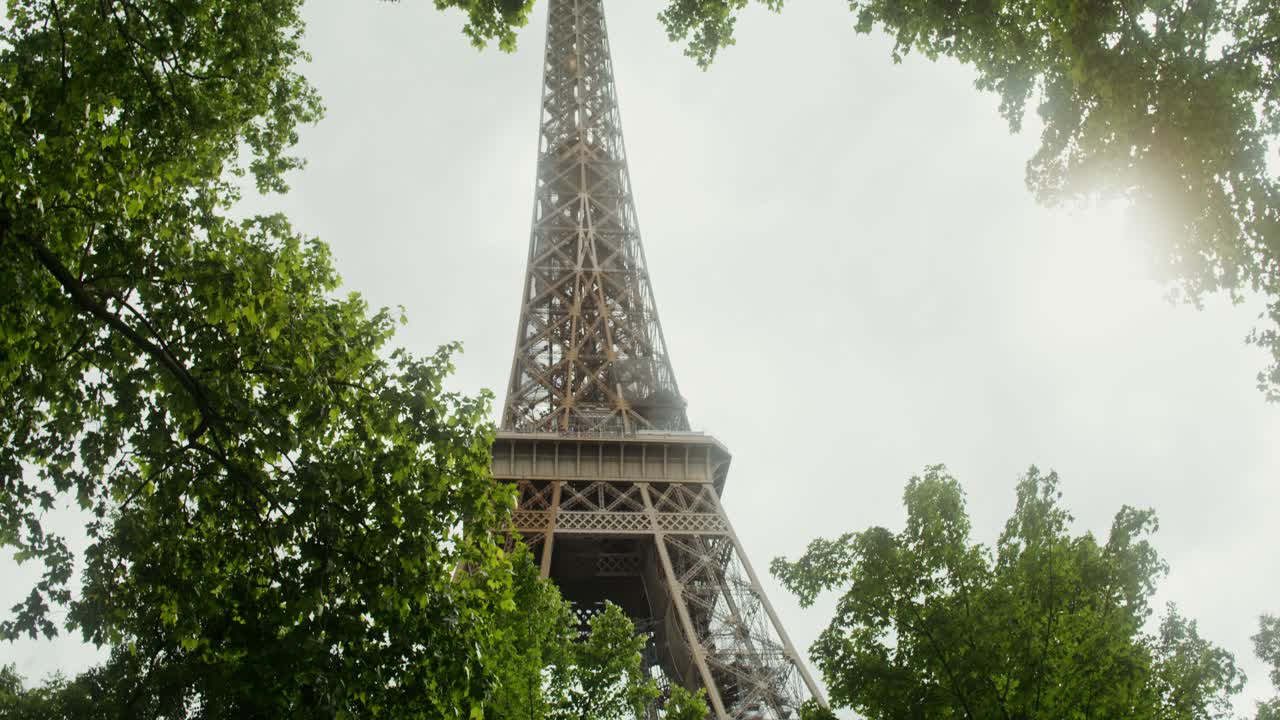 나무 로 둘러싸인 에펠 탑