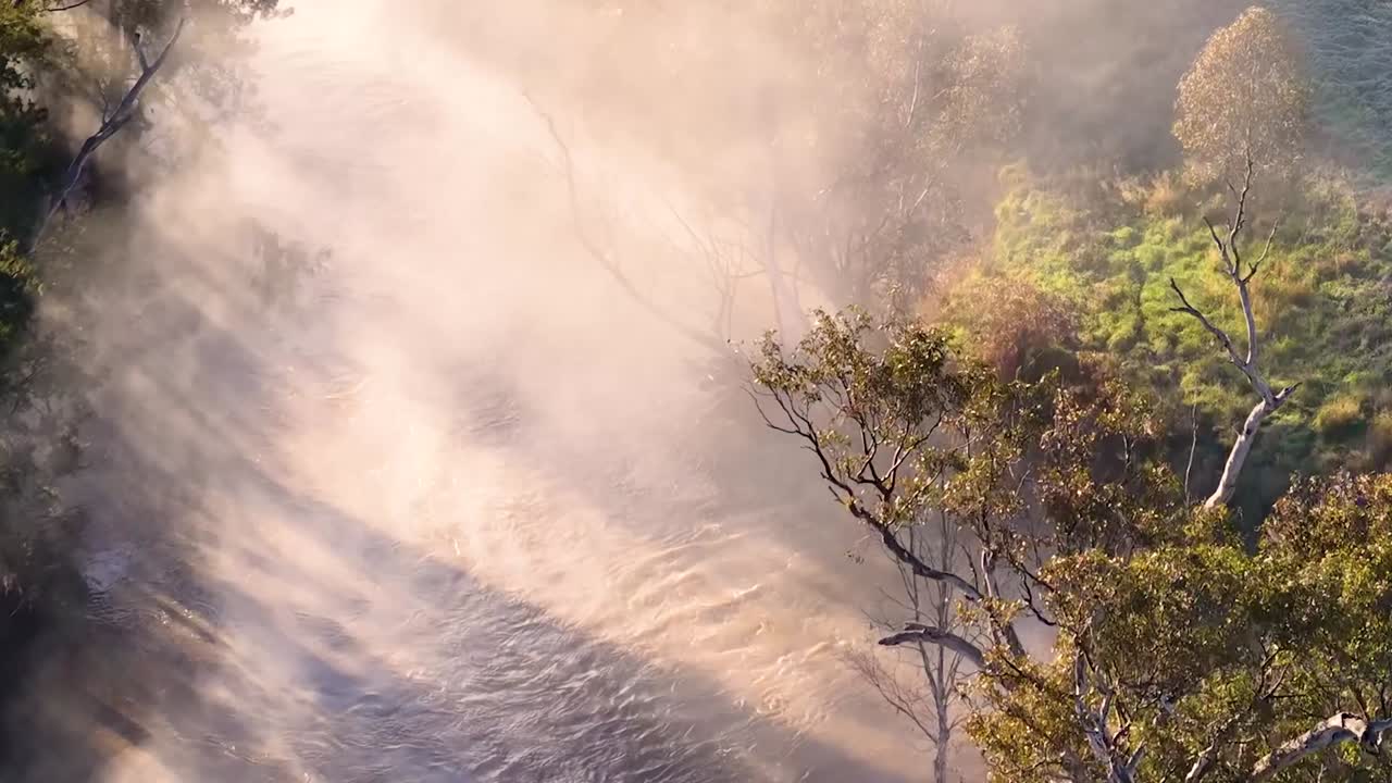 Drönarfilm fångar gyllene solljus som filtreras genom tjock morgondimma över en trädkantad grusväg.